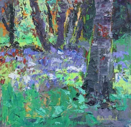 Parche de Campanillas