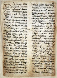 Agregar. 14425, f.31, página de texto del Pentateuco. (Génesis, Éxodo, Números, Deuteronomio), 464 (vitela)