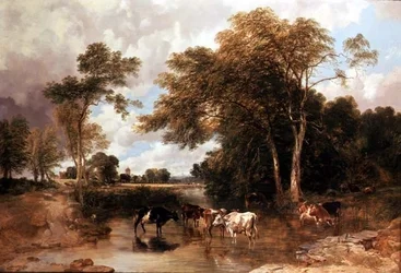 Paisaje fluvial boscoso