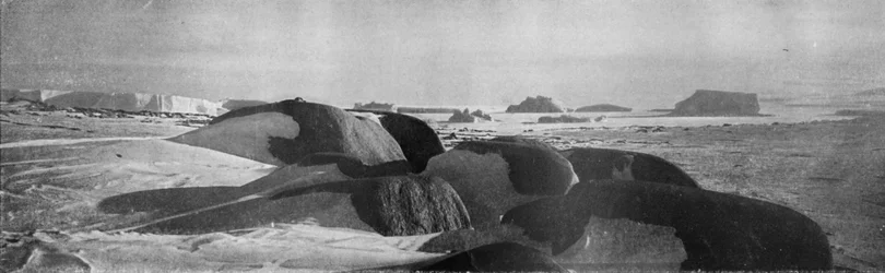 Bloques de granito planeados por glaciares antiguos en Cabo Roberts, c1911, 1913