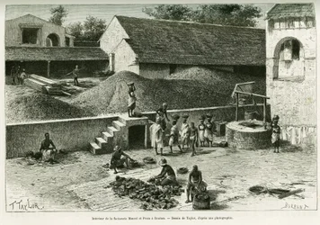 Dentro de la factoría Maurel y Prom, en Boulam, recolecta y procesamiento de cacahuetes, almendra de palma y caucho. Grabado por Taylor, después de una fotografía, para ilustrar la historia Viaje en la Senegambia y la Guinea portuguesa, en 1888, por el Cap