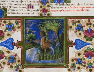 Friso de borde al pie de la página con animal monstruoso en el paisaje, Volumen II, f 207, v, Biblia de Borso d