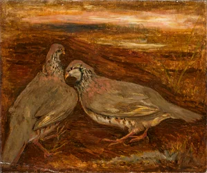 Dos pájaros