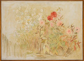 Jardincito