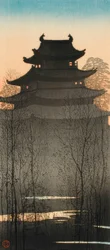 Castillo de Nagoya