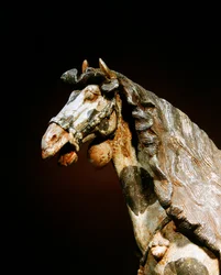 Detalle de un caballo, finales del siglo VII - principios del siglo VIII