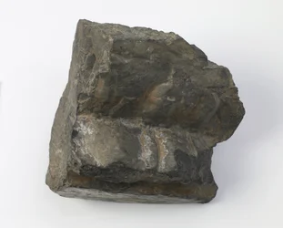 Fragmento de un pedestal de loto