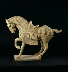 Caballo, chino, Dinastía Tang, c.618-906 d.C.
