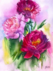 Flores de peonía de vivos colores