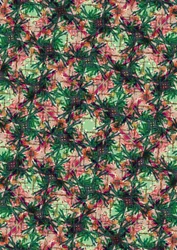 Palma Tropical