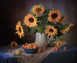 Cosecha de girasoles en otoño