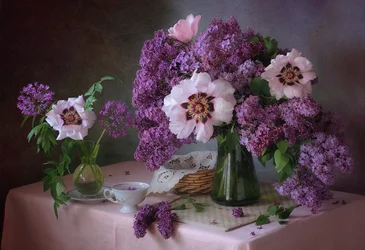 Floración de las peonías lilas de primavera