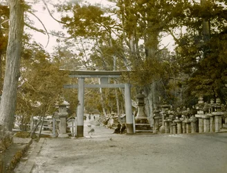 Entrada al Santuario de los Faroles en el Parque Kasauga Taisha, Nara, circa 1900 - 1915 (fotografía)