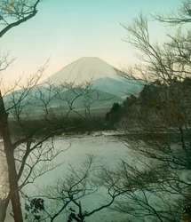 Vista del monte Fuji desde el lago Shoji, hacia 1900 - 1915 (fotografía)