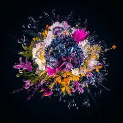 Ramo III, 2018 (Collage sobre lienzo)