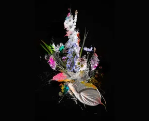 Bouquet II, 2017 (técnica mixta sobre lienzo)