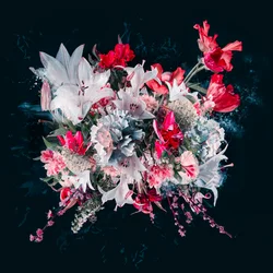 Ramo V, 2018 (foto)