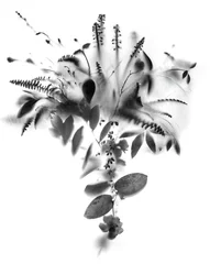 Velo Natural IV, 2019 (foto)