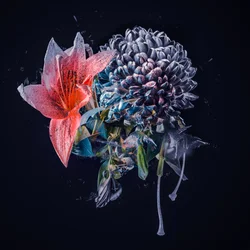 Pequeño Ramo, 2018 (Collage sobre lienzo)