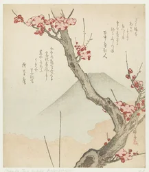 Monte Fuji y un ciruelo en flor