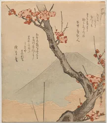 Ciruelo con Monte Fuji