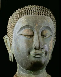 Cabeza de un Buda Gigante