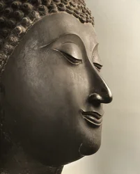 Cabeza de Buda, período Sukhothai