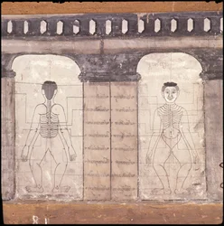 Representación de puntos de masaje en el cuerpo humano