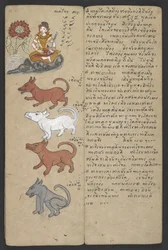 O 16455 f.11r, Animales del Zodíaco, de Phrommachat (pergamino)