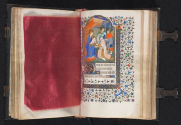 Libro de Horas Uso de París: Fol. 66v, Borde decorado, c. 1420