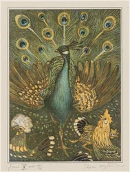 Pavo real con gallinas