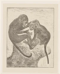 Dos monos pulga