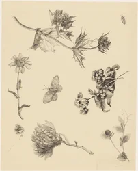 Flores y hojas