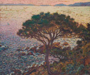 Cap Bénat, Pino en la costa