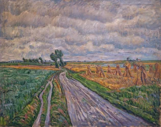 Camino rural en la Marca