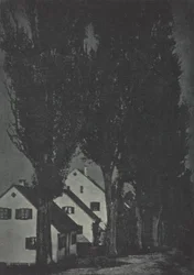 Trabajo de cámara: Dachau, 1904