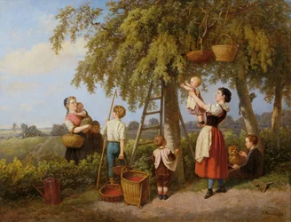 La cosecha de cerezas