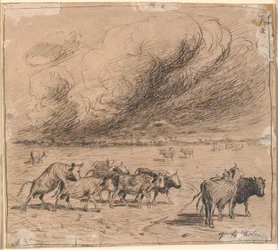 Un rebaño de vacas en Saltholm