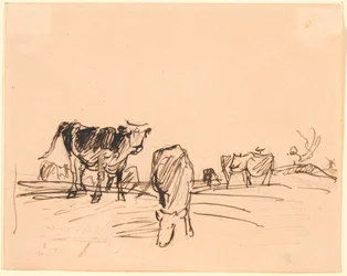 Vacas en un campo