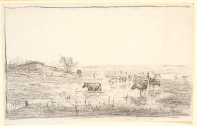 Vacas en los prados de Mejlgaard