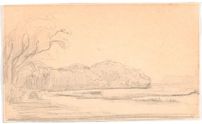 Paisaje con lago rodeado de bosque