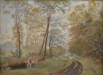 El río Sorteaa cerca de la mansión Mejlgaard, Jutlandia