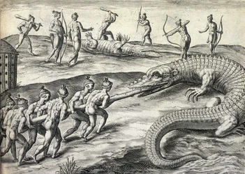 Nativos americanos desnudos cazando caimanes en Florida, EE. UU.