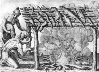 Indios timucanos secando comida