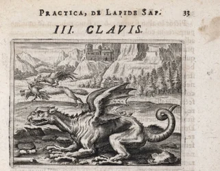 Un dragón, al fondo, un lobo ladrón de gallinas, atacado por un gallo - Grabado de Theodore de Bry (1528-1598), para el tratado de alquimia ""Tripus avreus, hoc est, Tres tractatus chymici selectissimi" " de Michael Maier (1569-1622)