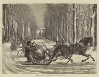 Paseo en trineo en La Haya, Holanda