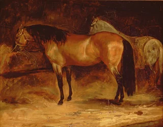 Un caballo bayo en un pesebre, con un caballo gris con manta