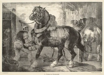 Un herrador francés