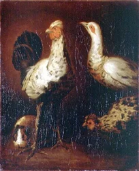 Un gallo, dos gallinas y una cobaya
