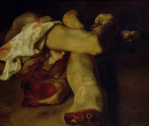 Piezas anatómicas (óleo sobre lienzo)